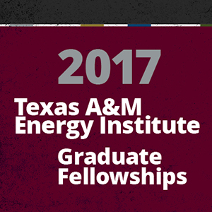 2017-18 Energy Institute Fellows