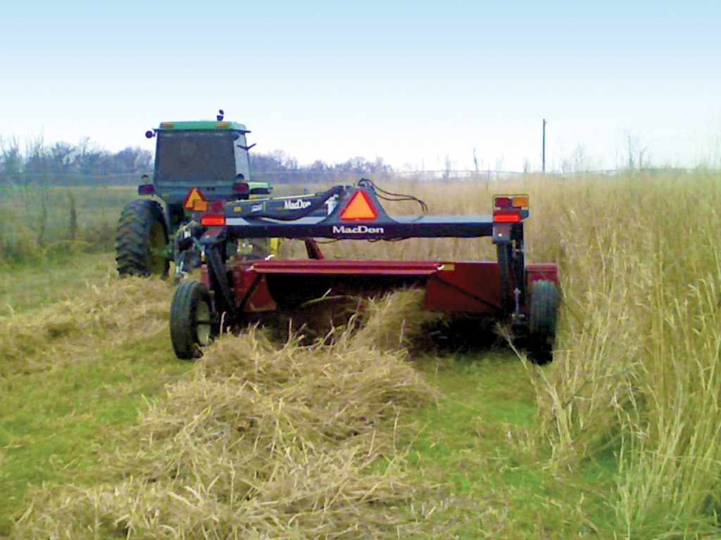 A tractor pulls a MacDon mower-conditioner through a field as it cuts switchgrass.