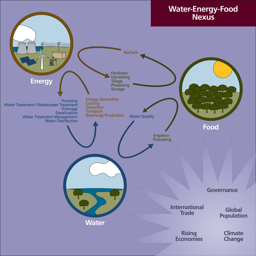 Mohtar Water-Energy-Food Nexus
